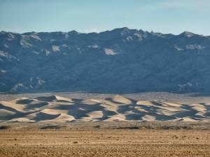 Mongolia, Gobi, Khongoryn Els